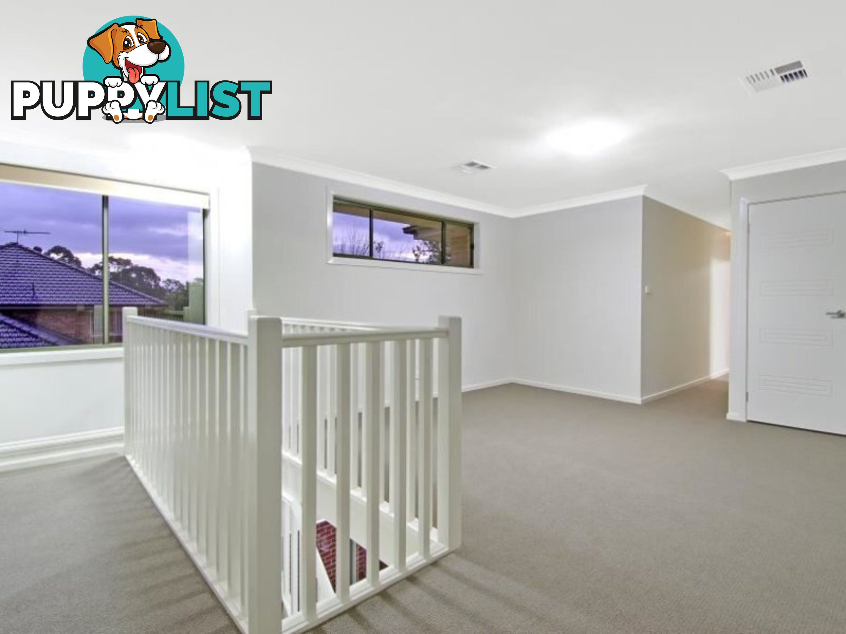 3A Newton Road STRATHFIELD NSW 2135