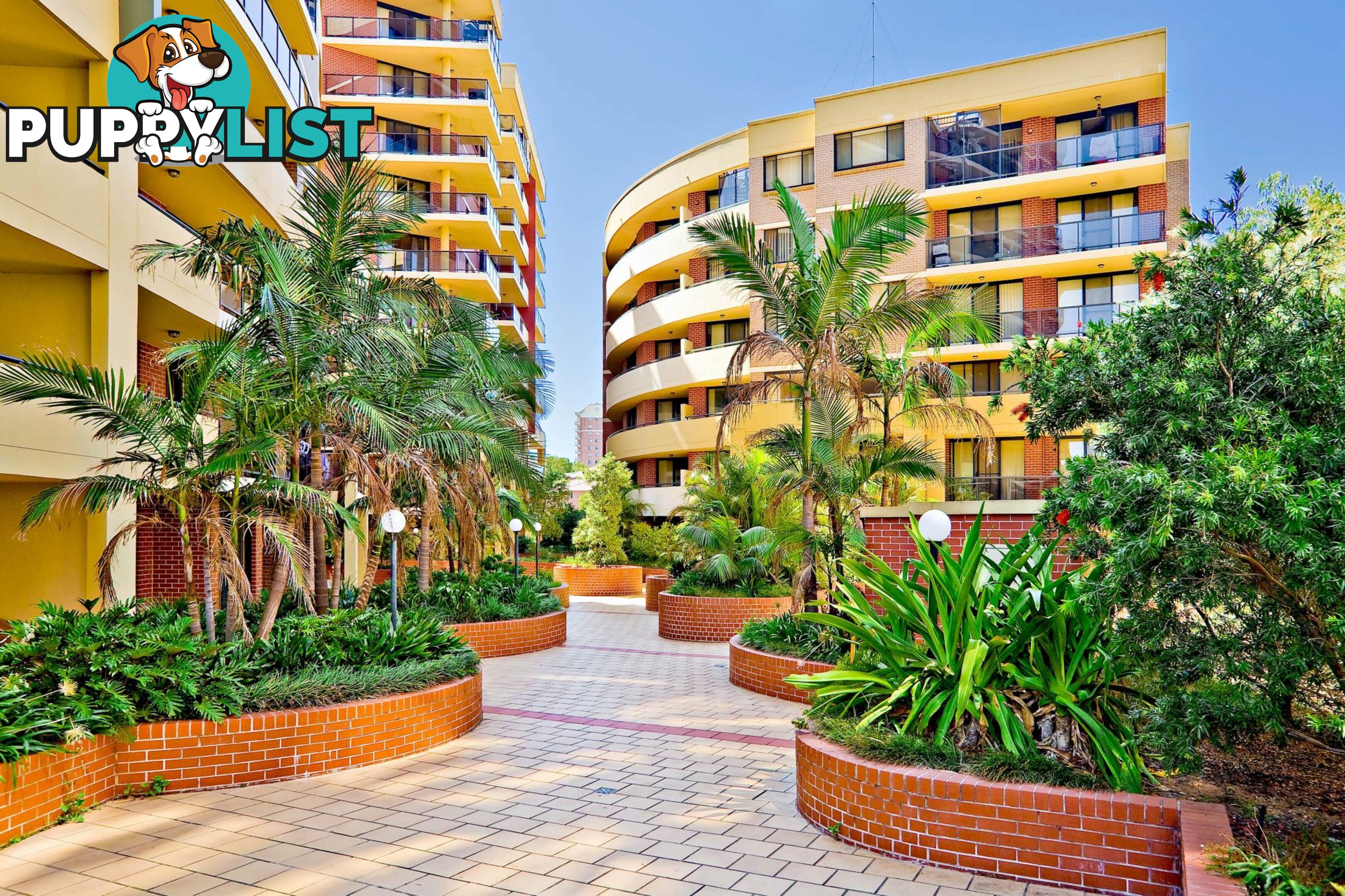 153/1-3 Beresford Road STRATHFIELD NSW 2135