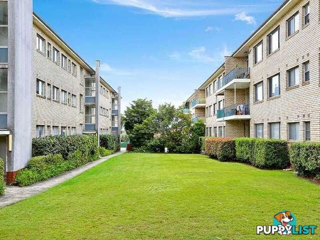 35/107 Concord Rd NORTH STRATHFIELD NSW 2137