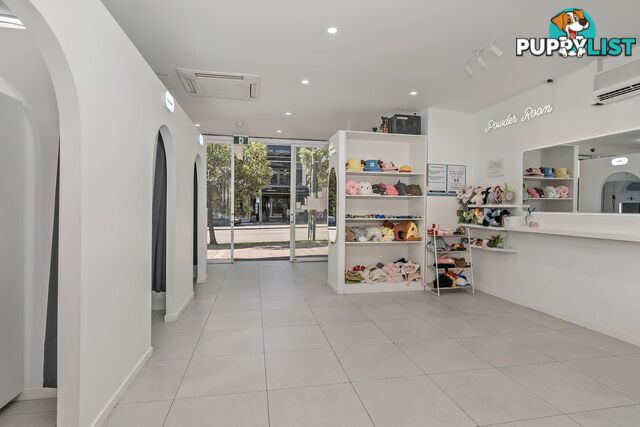 2/43 The Boulevarde STRATHFIELD NSW 2135