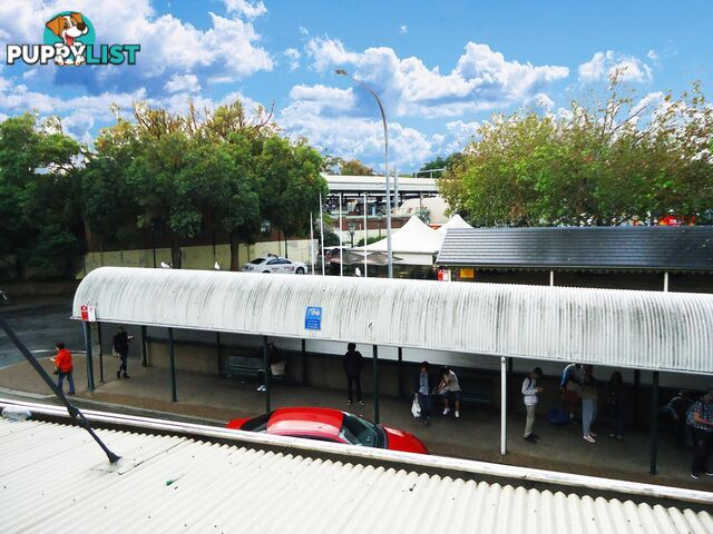 2 Albert Road STRATHFIELD NSW 2135