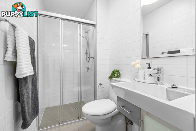 33/30-32 Herbert Street WEST RYDE NSW 2114