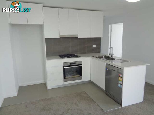 503/11-13 Hercules St ASHFIELD NSW 2131