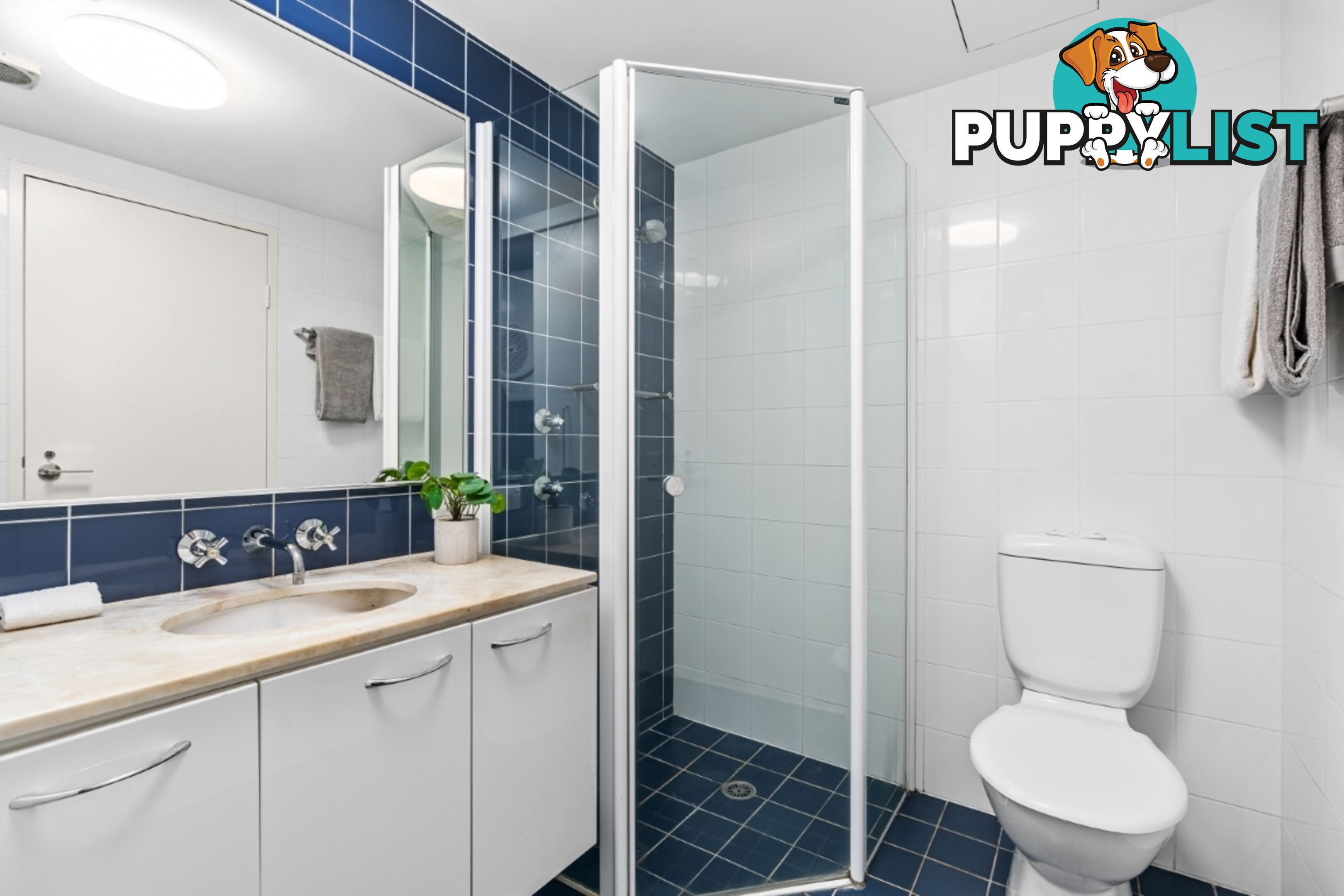 2/1 Heidelberg Avenue NEWINGTON NSW 2127