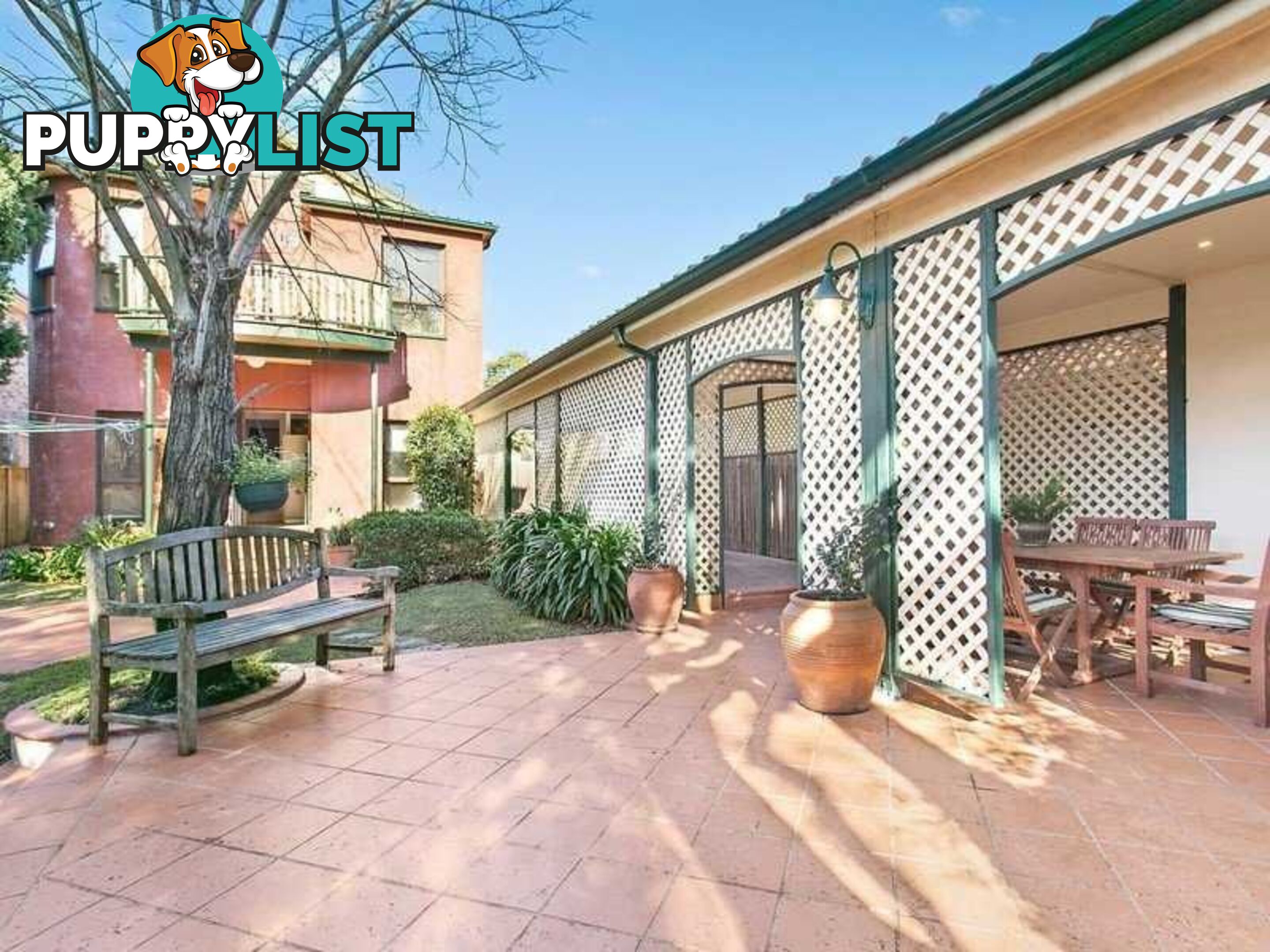 123 Davidson Avenue CONCORD NSW 2137