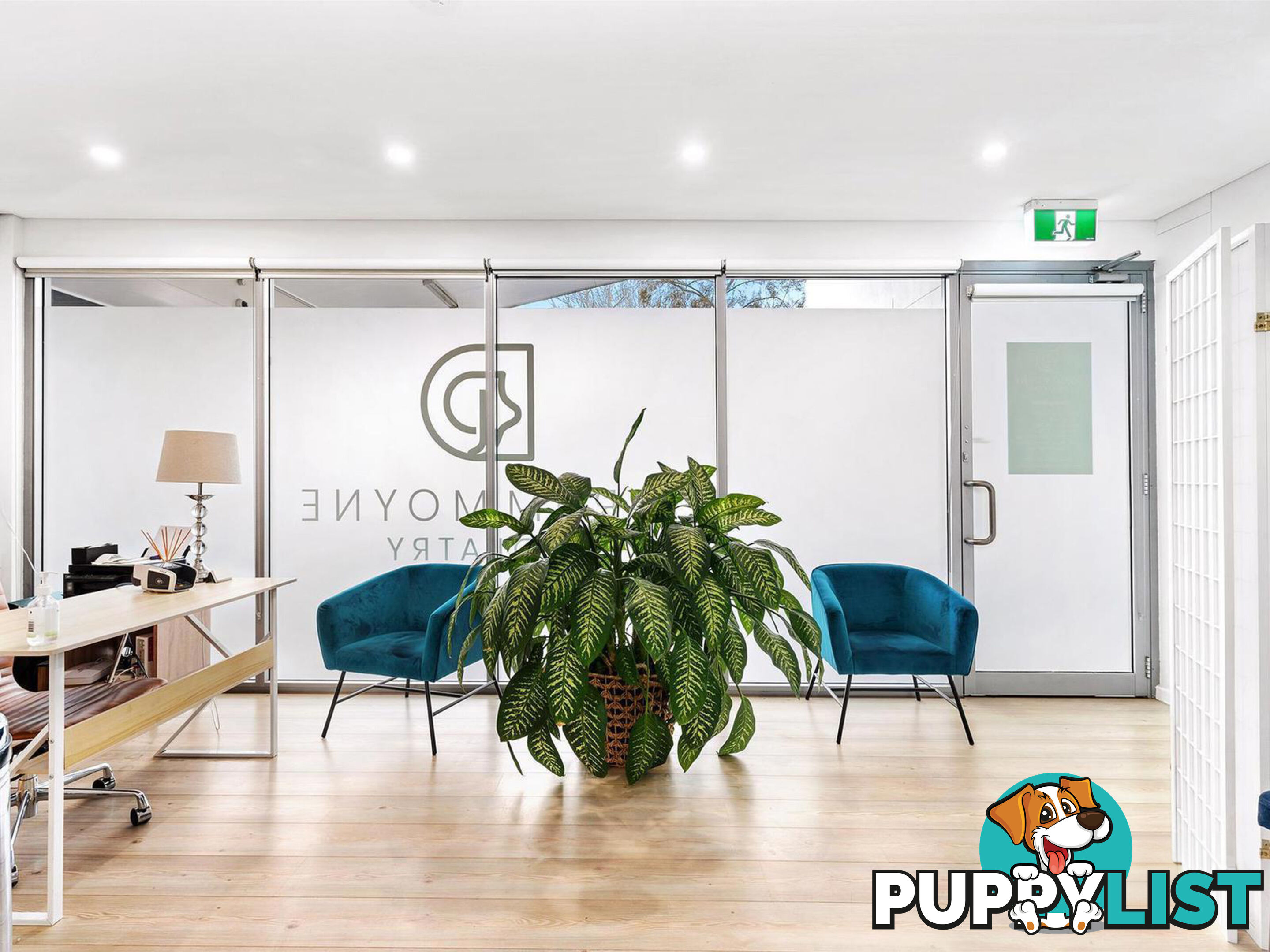46-62 Victoria Road DRUMMOYNE NSW 2047