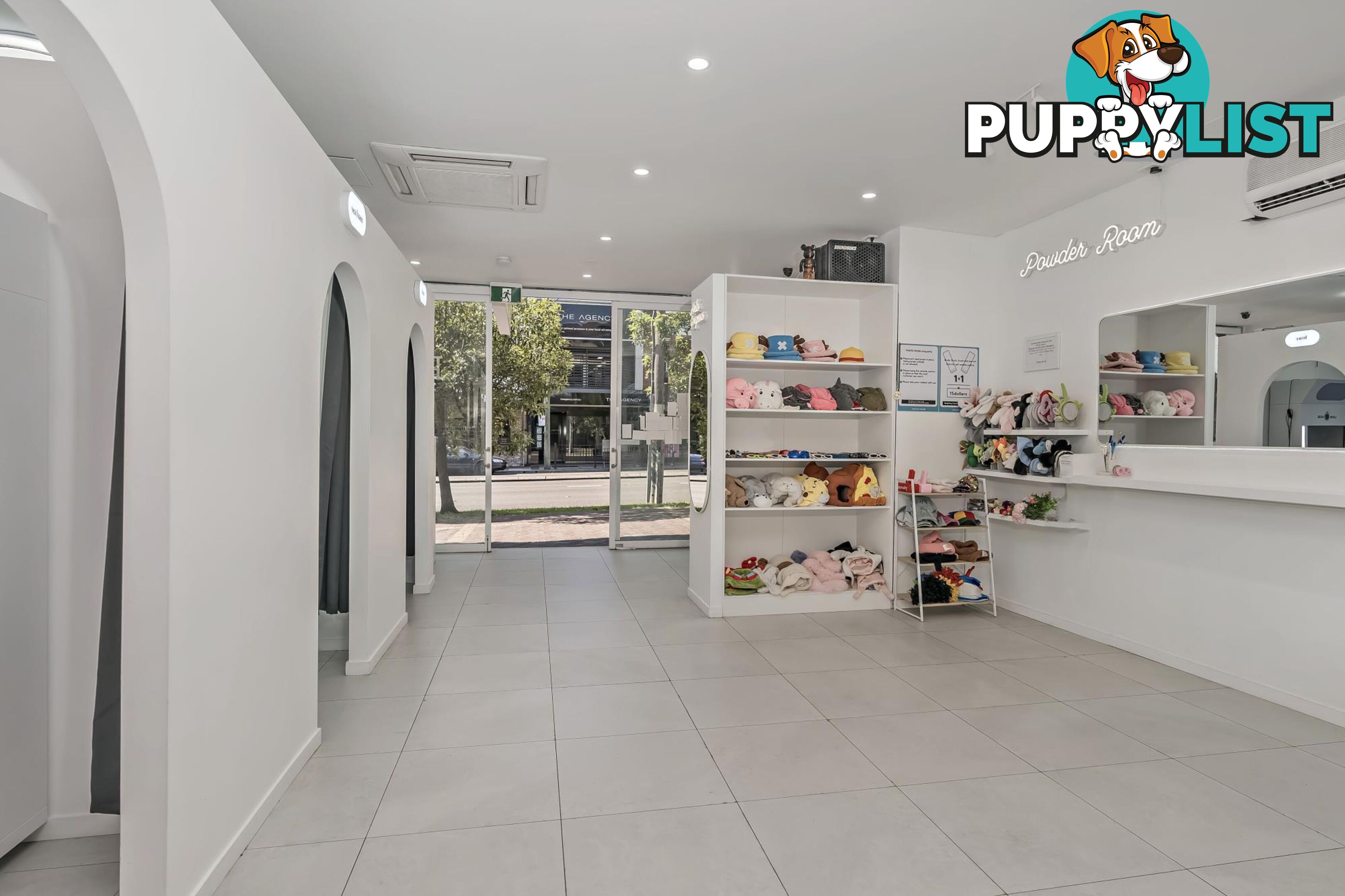 2/43 The Boulevarde STRATHFIELD NSW 2135