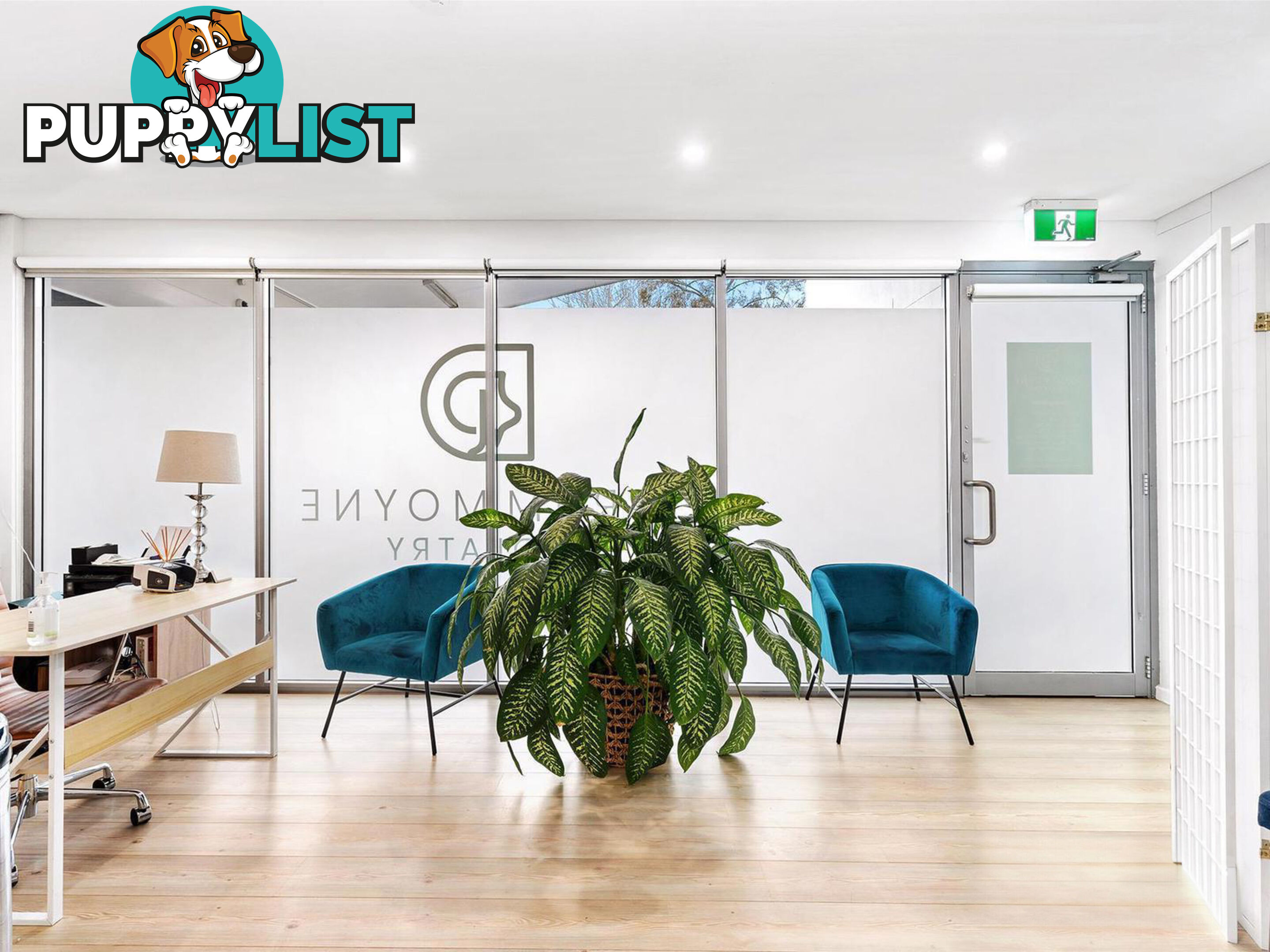 46-62 Victoria Road DRUMMOYNE NSW 2047