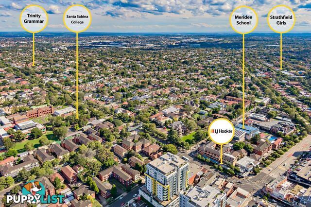 2/43 The Boulevarde STRATHFIELD NSW 2135