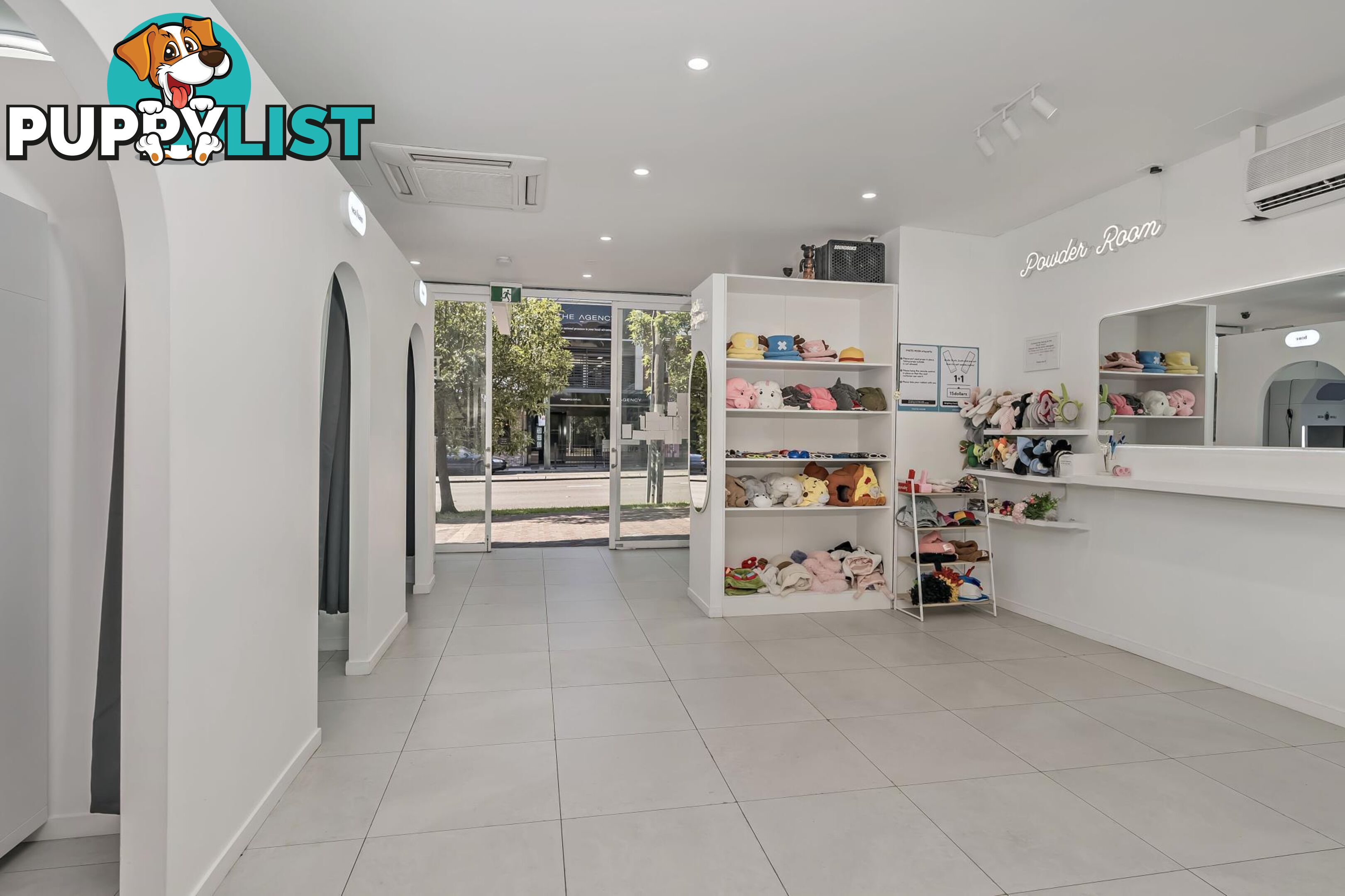 2/43 The Boulevarde STRATHFIELD NSW 2135