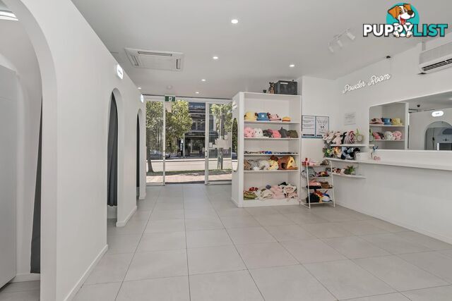 2/43 The Boulevarde STRATHFIELD NSW 2135