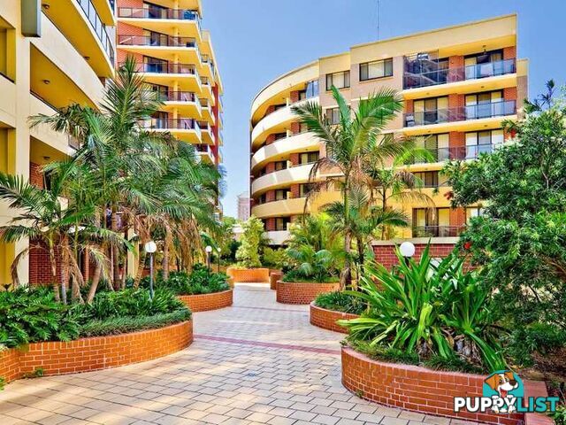 93/1-3 Beresford Road STRATHFIELD NSW 2135