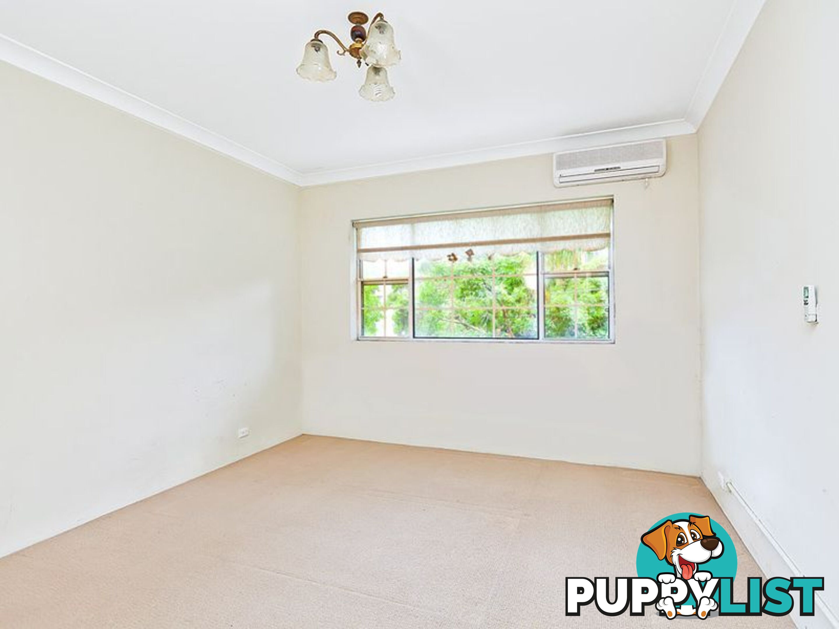 1/33-39 Albert Rd STRATHFIELD NSW 2135