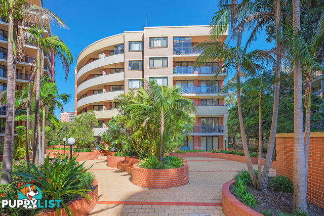 11/1-3 Beresford Road STRATHFIELD NSW 2135