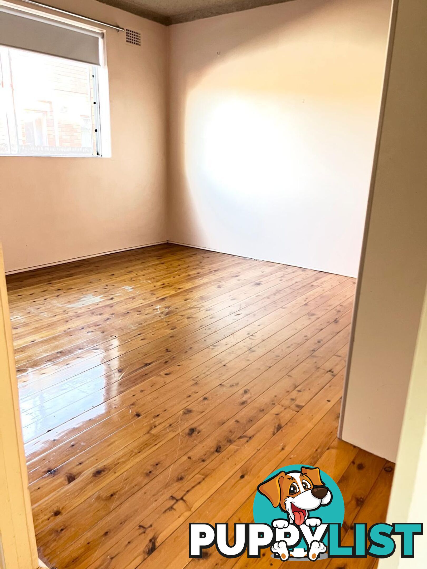 1/8 Mooney St STRATHFIELD SOUTH NSW 2136