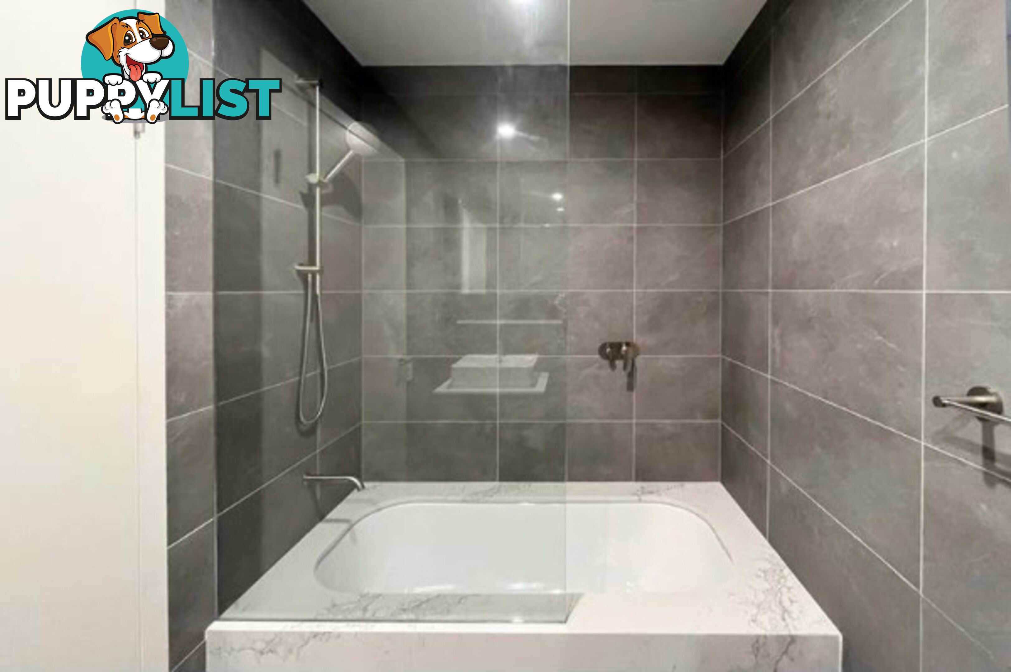 1305/9 Nipper Street HOMEBUSH NSW 2140