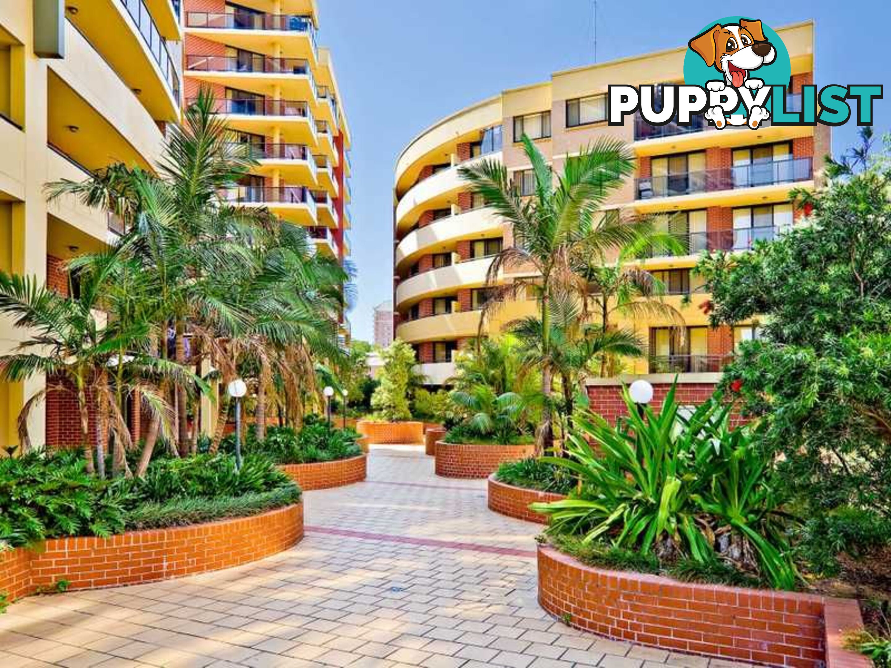 114/1-3 Beresford Road STRATHFIELD NSW 2135