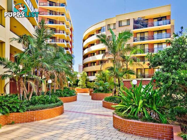 114/1-3 Beresford Road STRATHFIELD NSW 2135