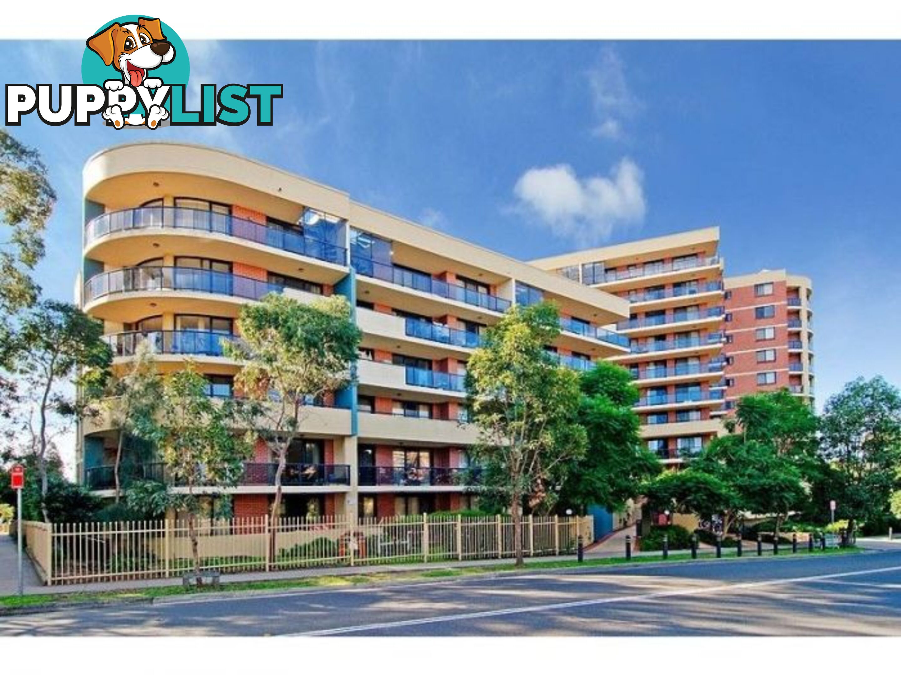 114/1-3 Beresford Road STRATHFIELD NSW 2135