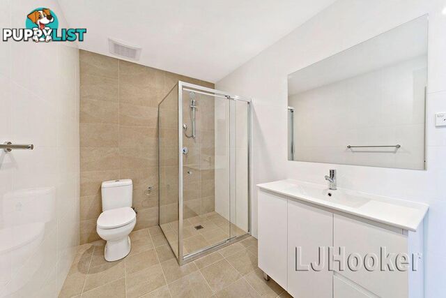 17/17-19 Burlington Road HOMEBUSH NSW 2140