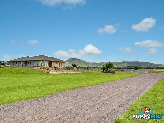 33 Rickard Road YANDINA CREEK QLD 4561