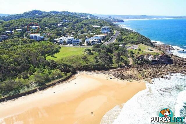 1566 David Low Way COOLUM BEACH QLD 4573