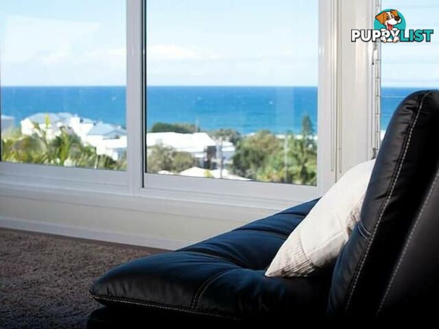 1566 David Low Way COOLUM BEACH QLD 4573