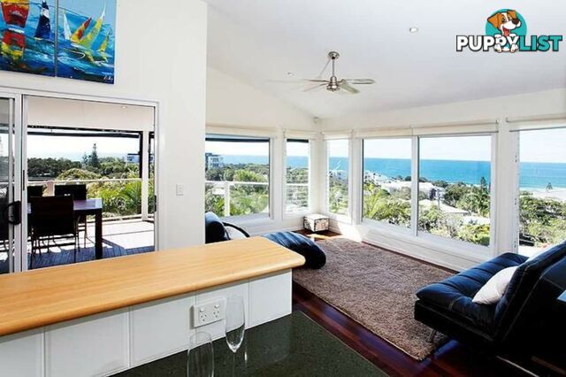 1566 David Low Way COOLUM BEACH QLD 4573