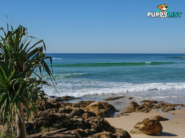 21/7 Beach Road COOLUM BEACH QLD 4573