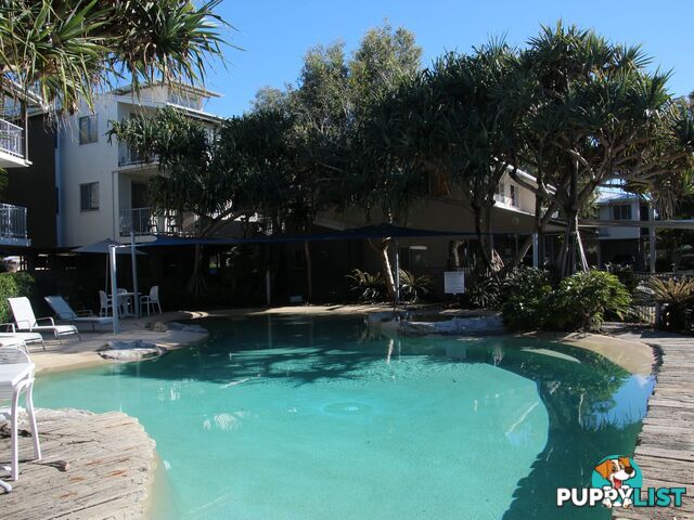 1B Seacove Lane COOLUM BEACH QLD 4573