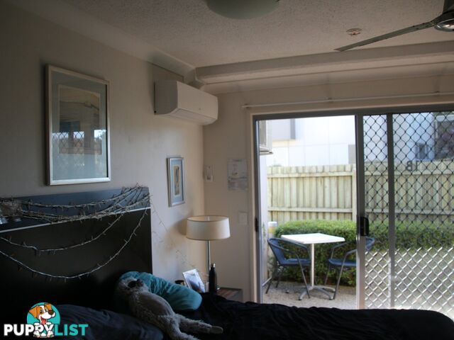 1B Seacove Lane COOLUM BEACH QLD 4573