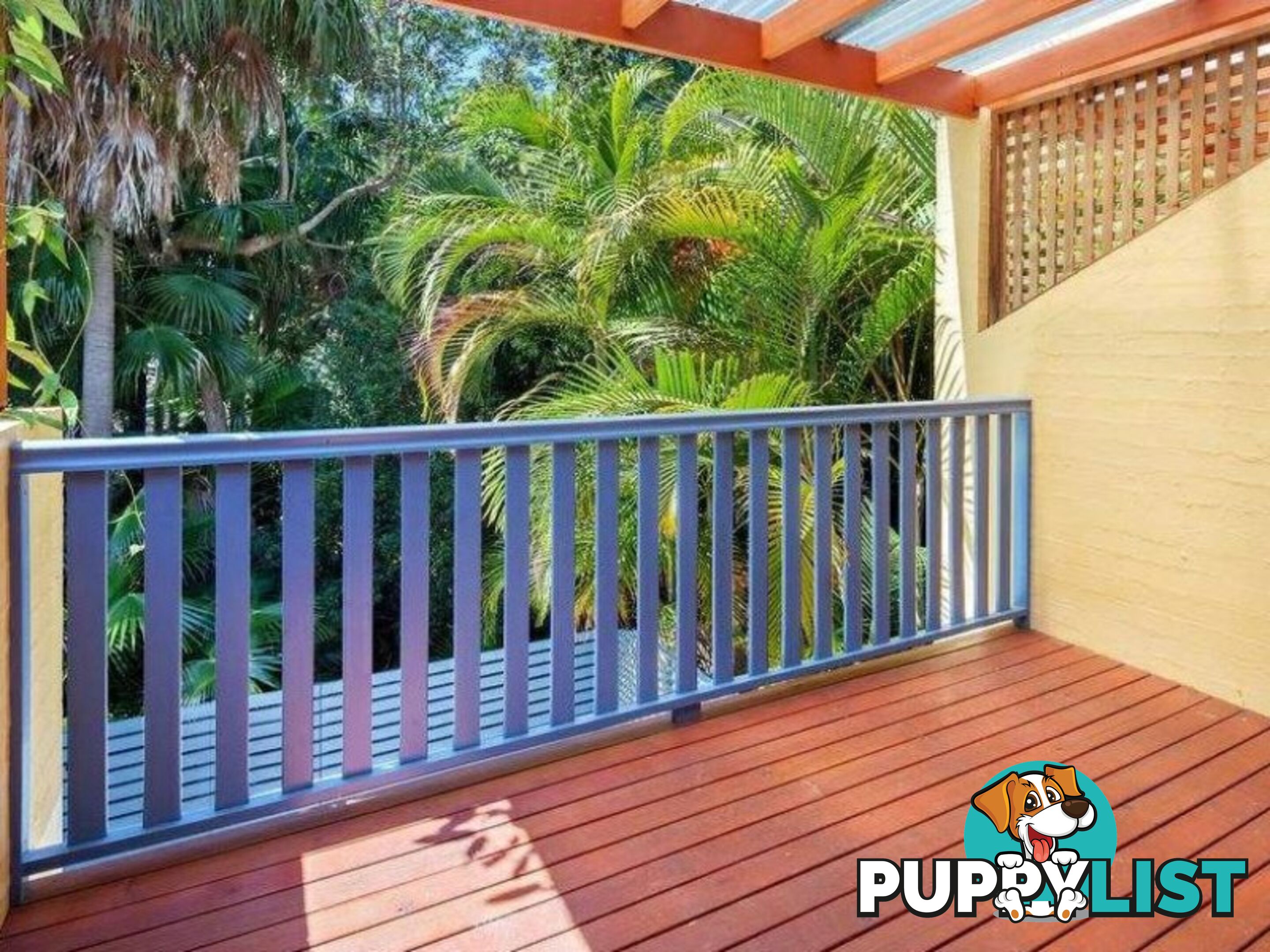 43/1 Poinsettia Court MOOLOOLABA QLD 4557