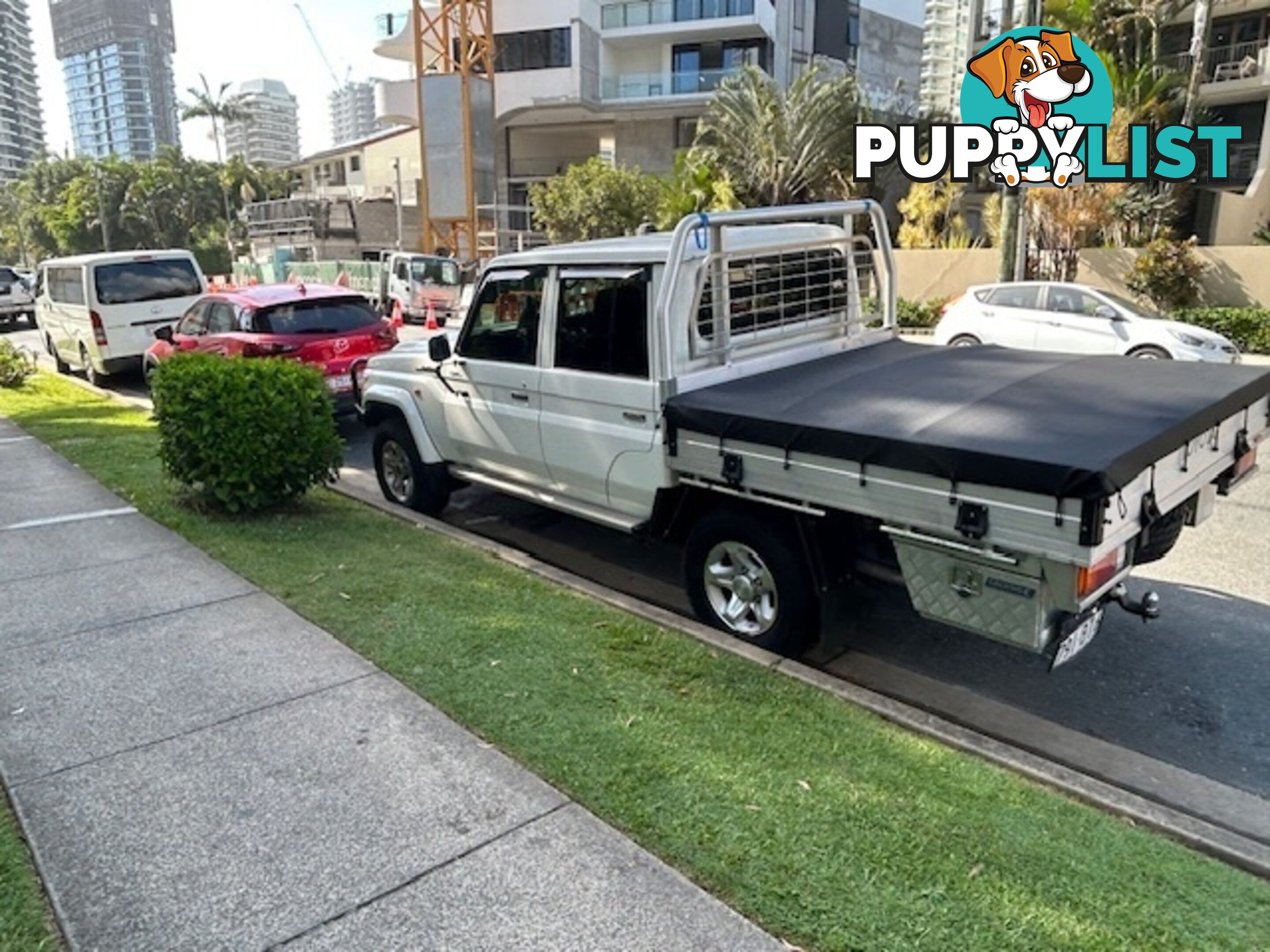 2021 Toyota Landcruiser VDJL79R GXL Ute Manual