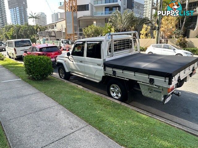 2021 Toyota Landcruiser VDJL79R GXL Ute Manual