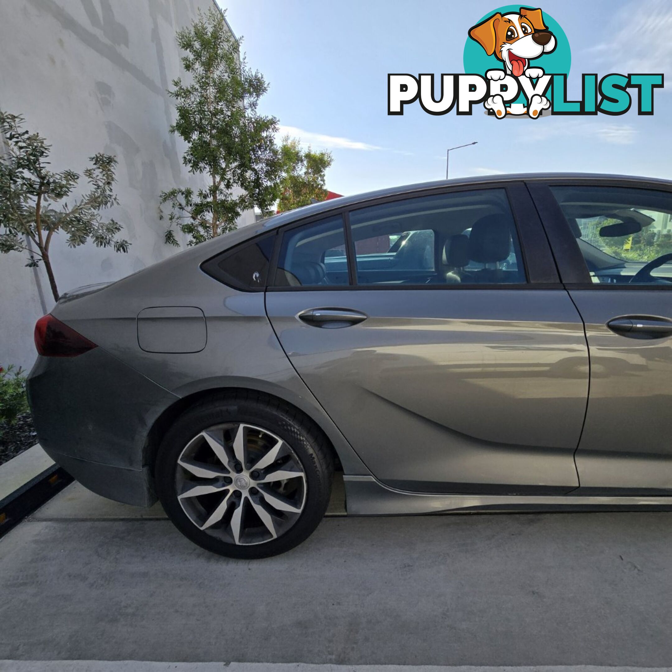 2019 Holden Commodore ZB EVOKE Sedan Automatic