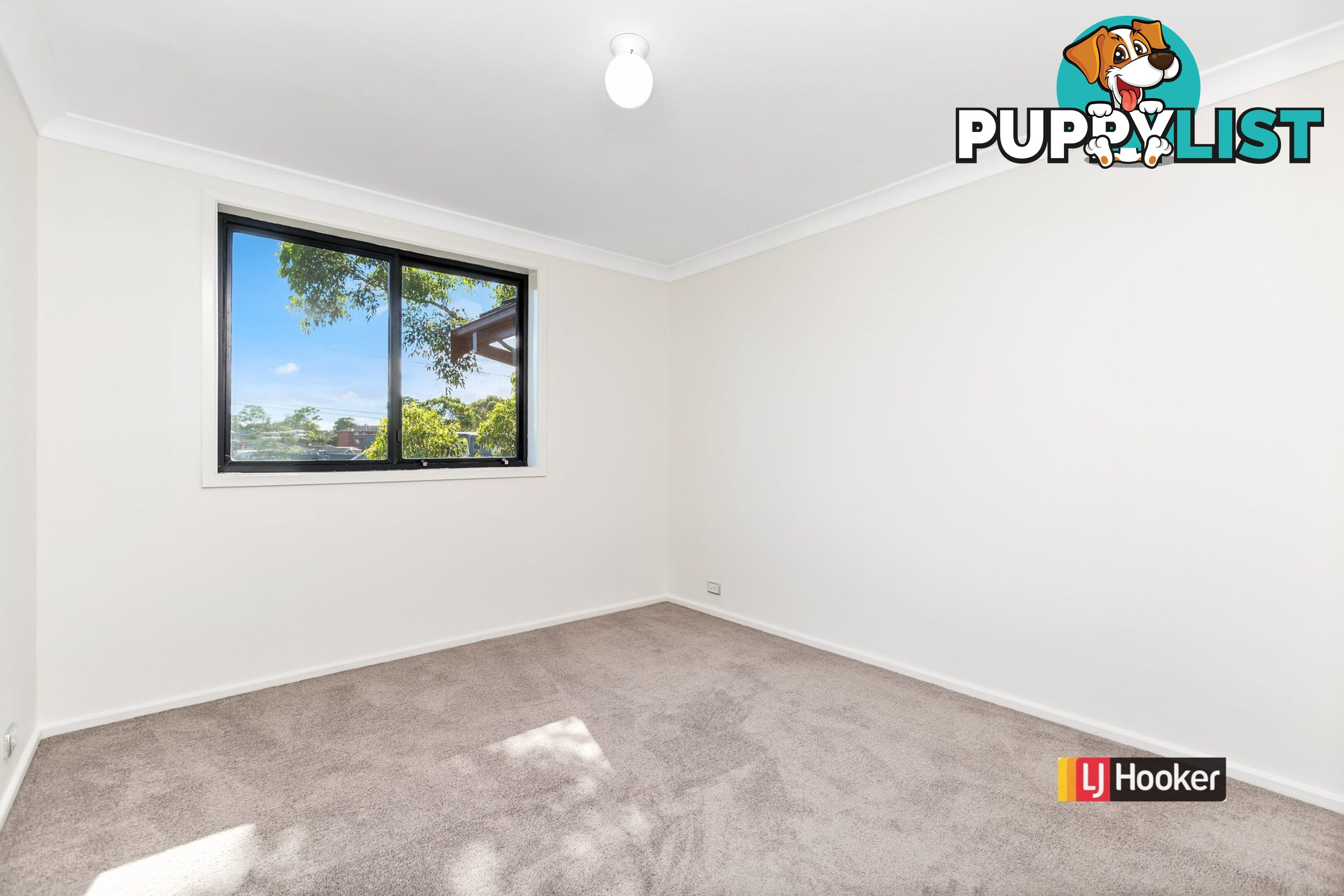 16/3 Williams Parade DULWICH HILL NSW 2203