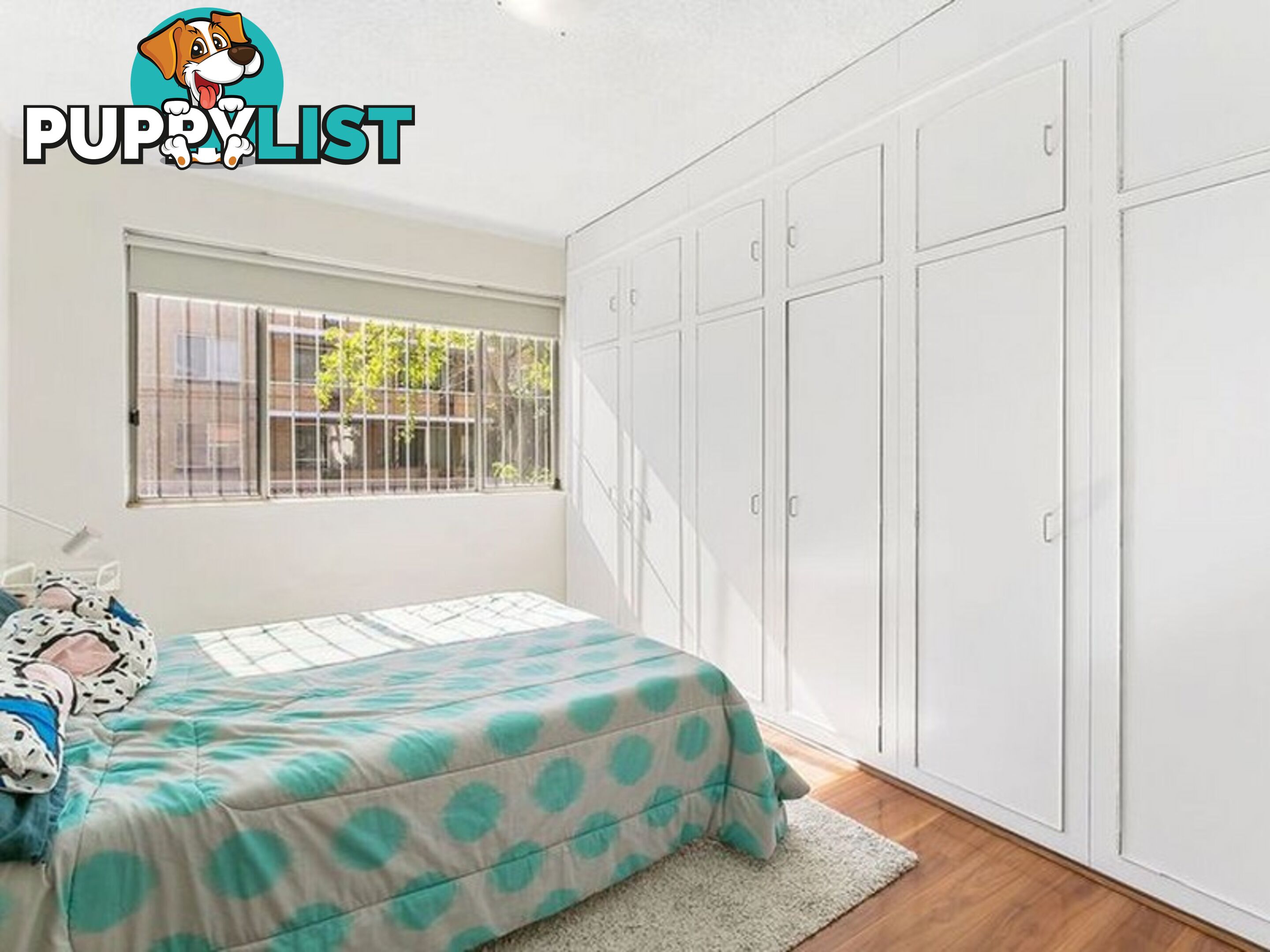 5/18 Minter Street CANTERBURY NSW 2193