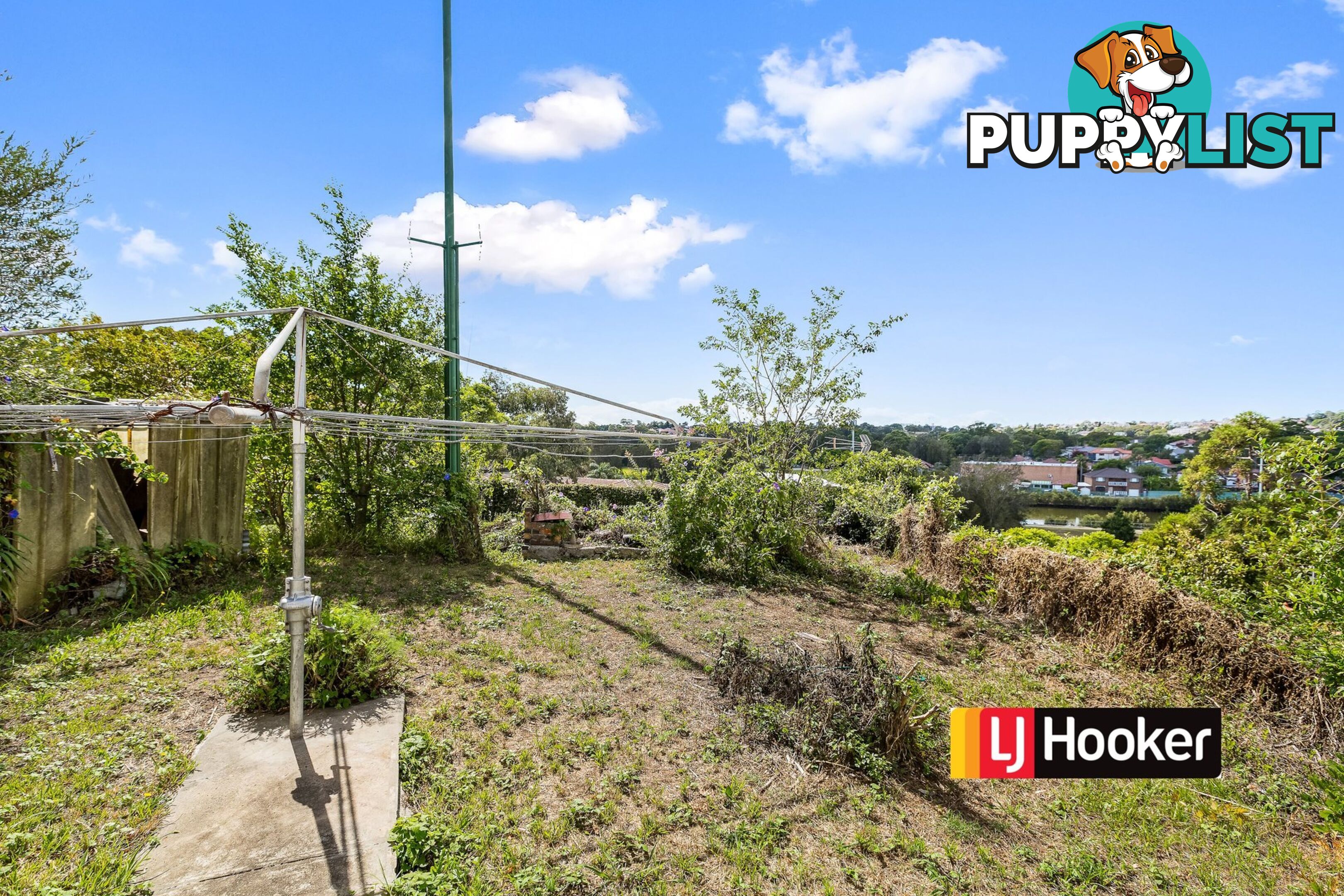 166 Duntroon Street HURLSTONE PARK NSW 2193