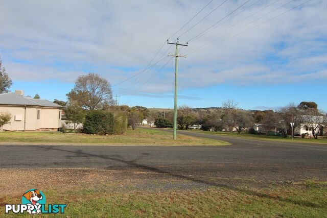 6 Boree Street CUDAL NSW 2864