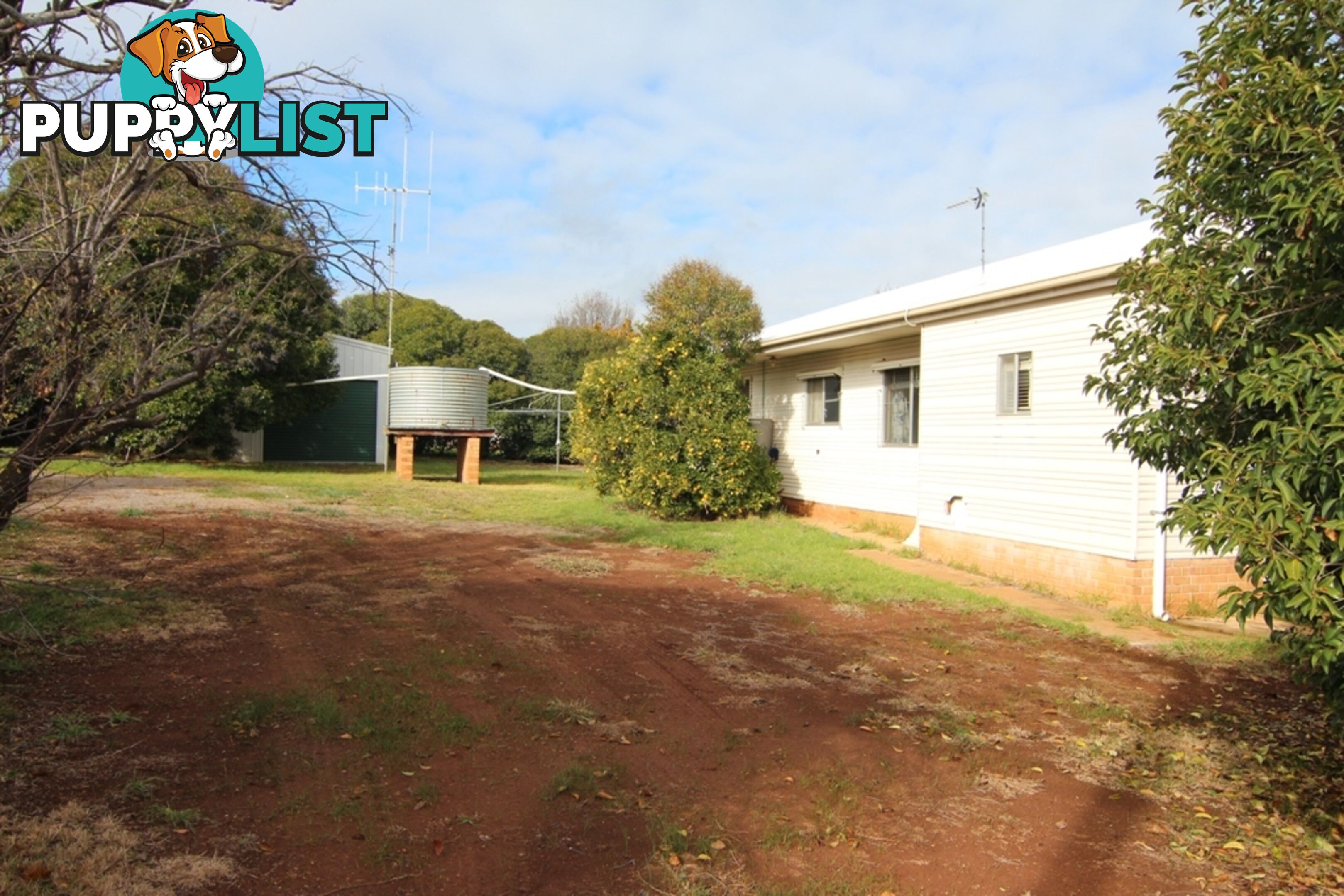 6 Boree Street CUDAL NSW 2864