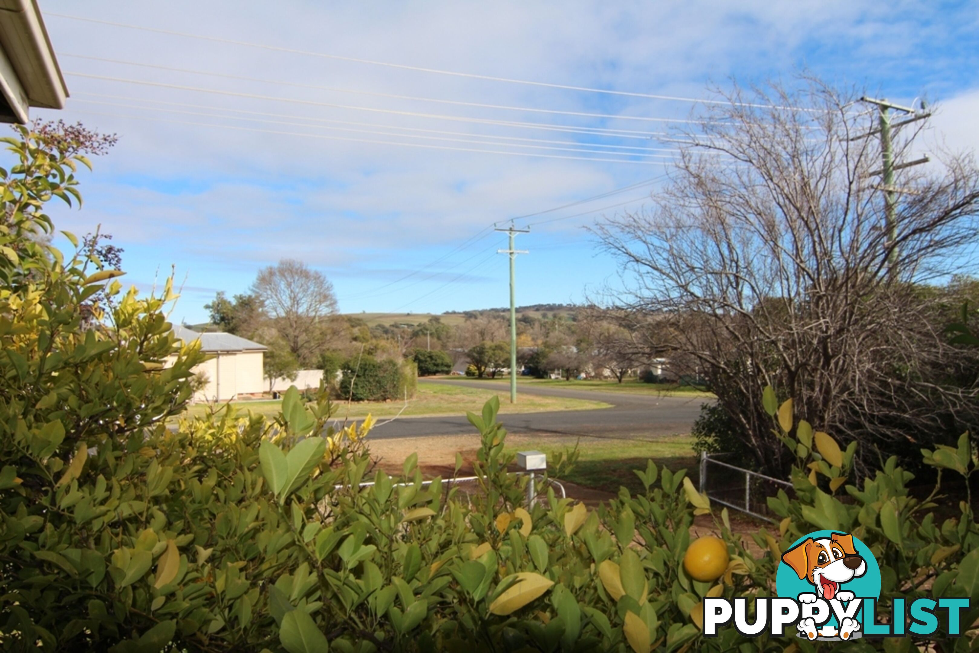 6 Boree Street CUDAL NSW 2864