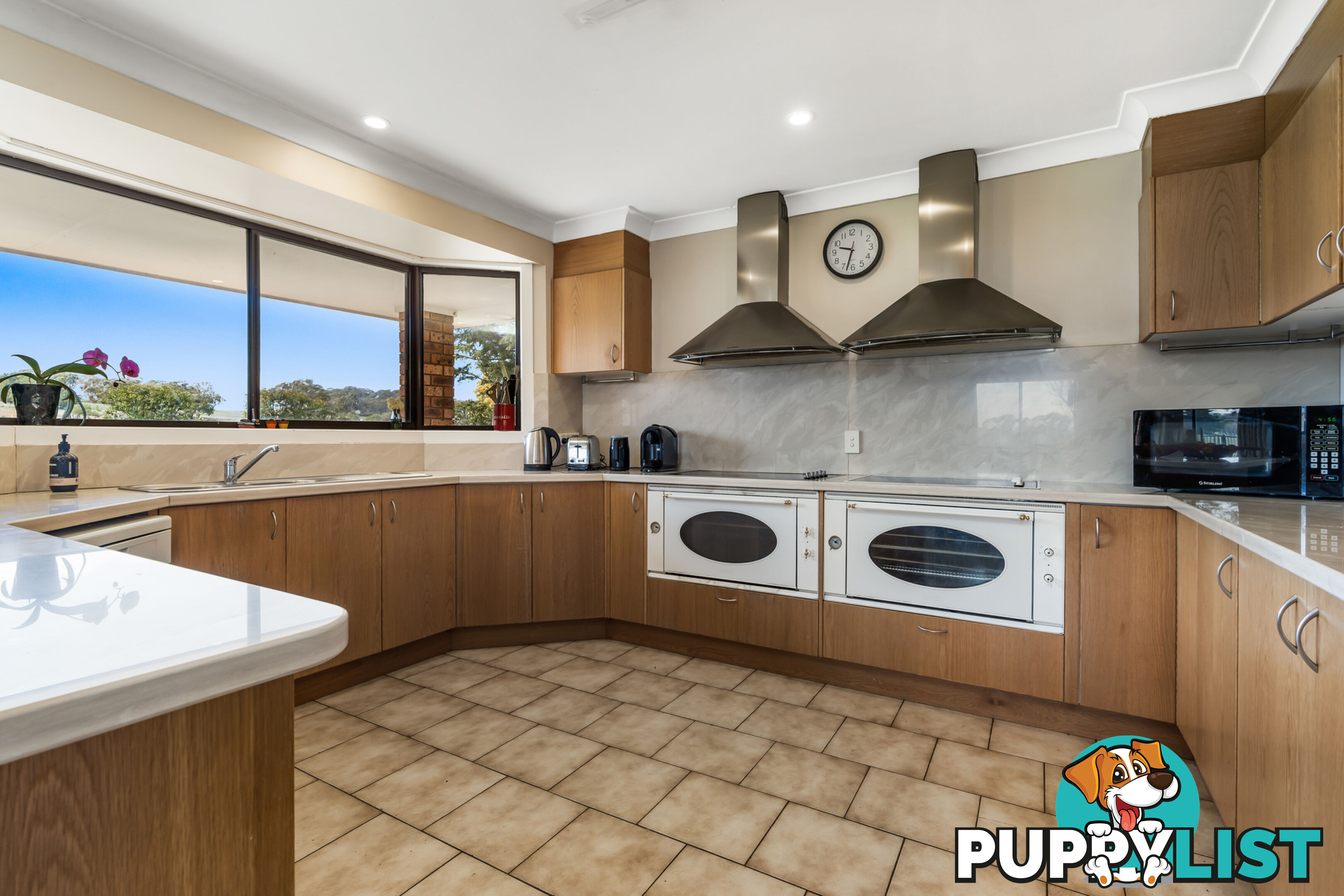 213 East Guyong Road GUYONG NSW 2798