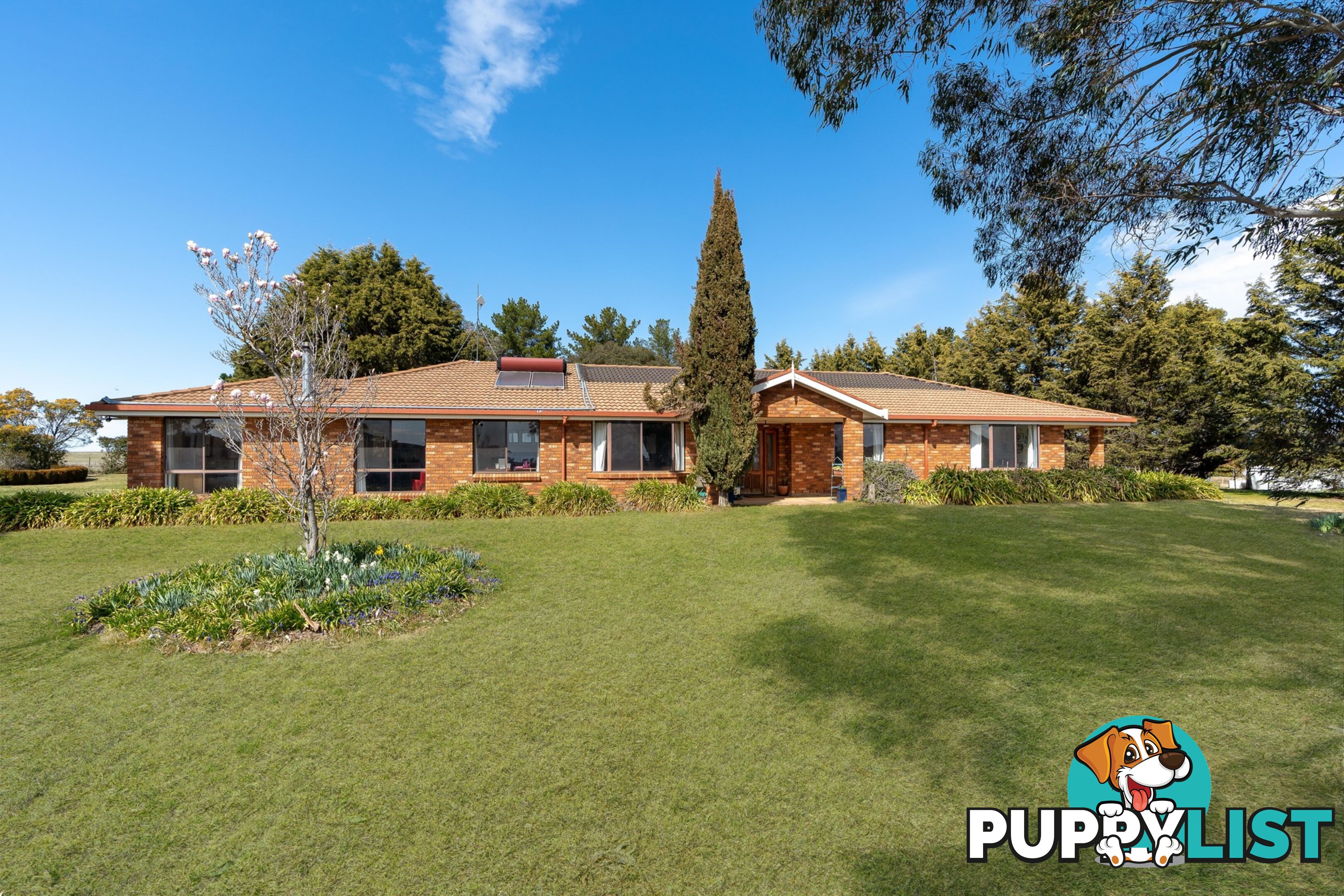 213 East Guyong Road GUYONG NSW 2798