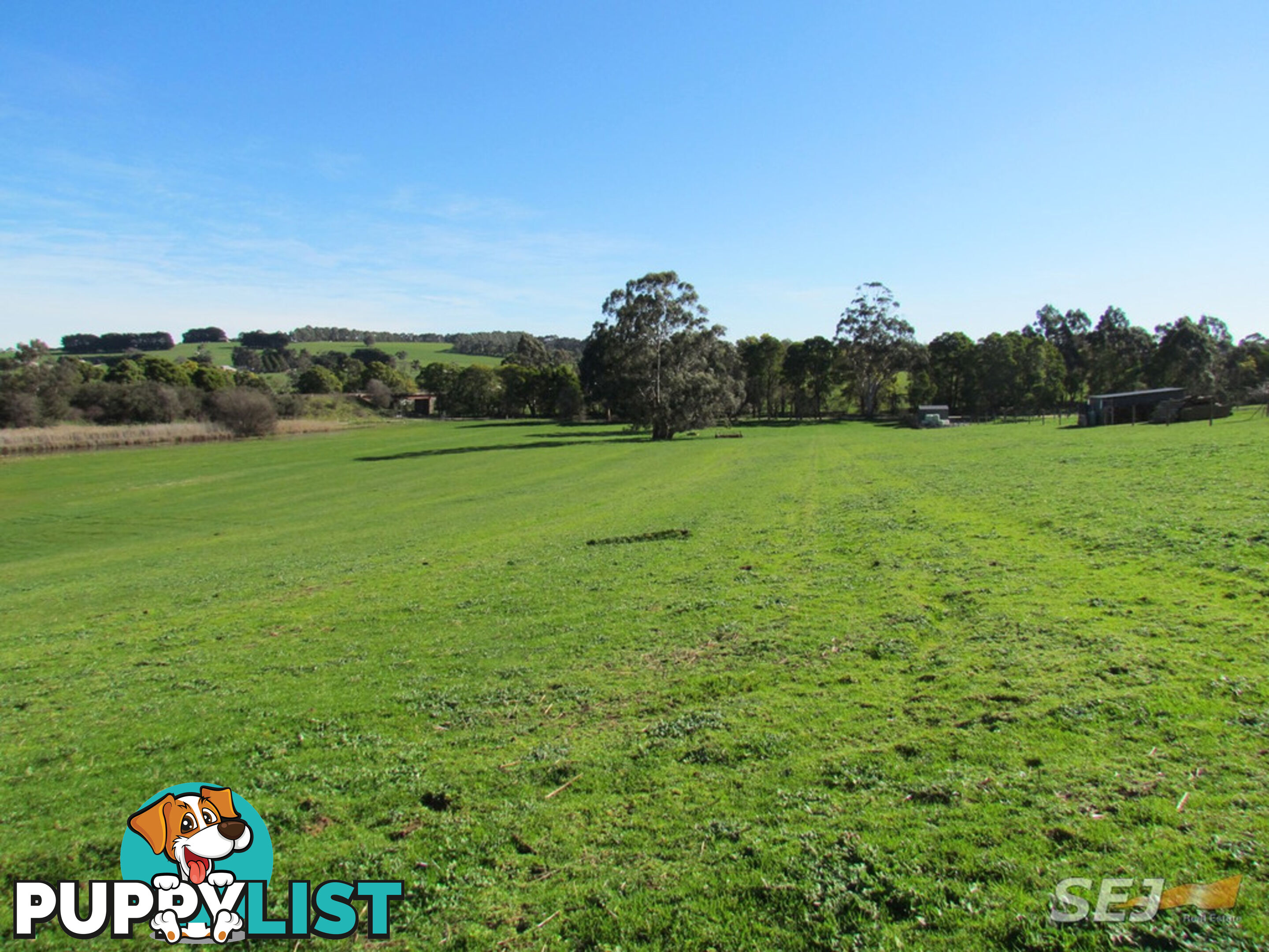 LOT 1 ON TP379503, RHODES ROAD DARNUM VIC 3822