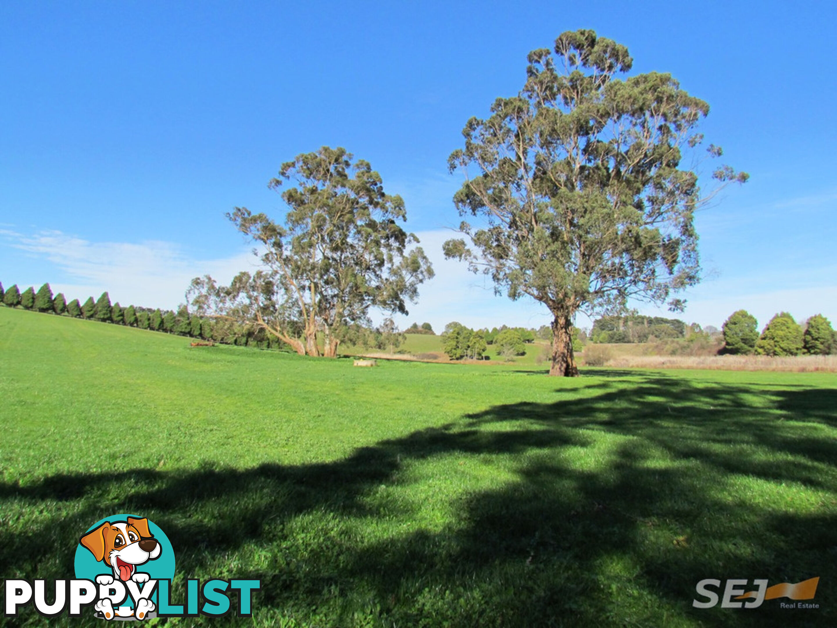 LOT 1 ON TP379503, RHODES ROAD DARNUM VIC 3822