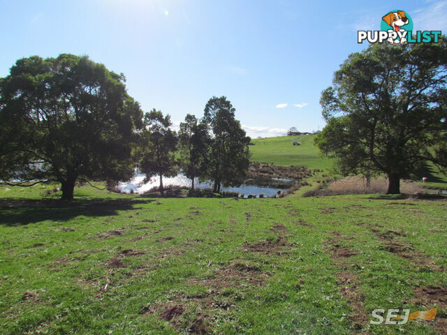 LOT 1 ON TP379503, RHODES ROAD DARNUM VIC 3822