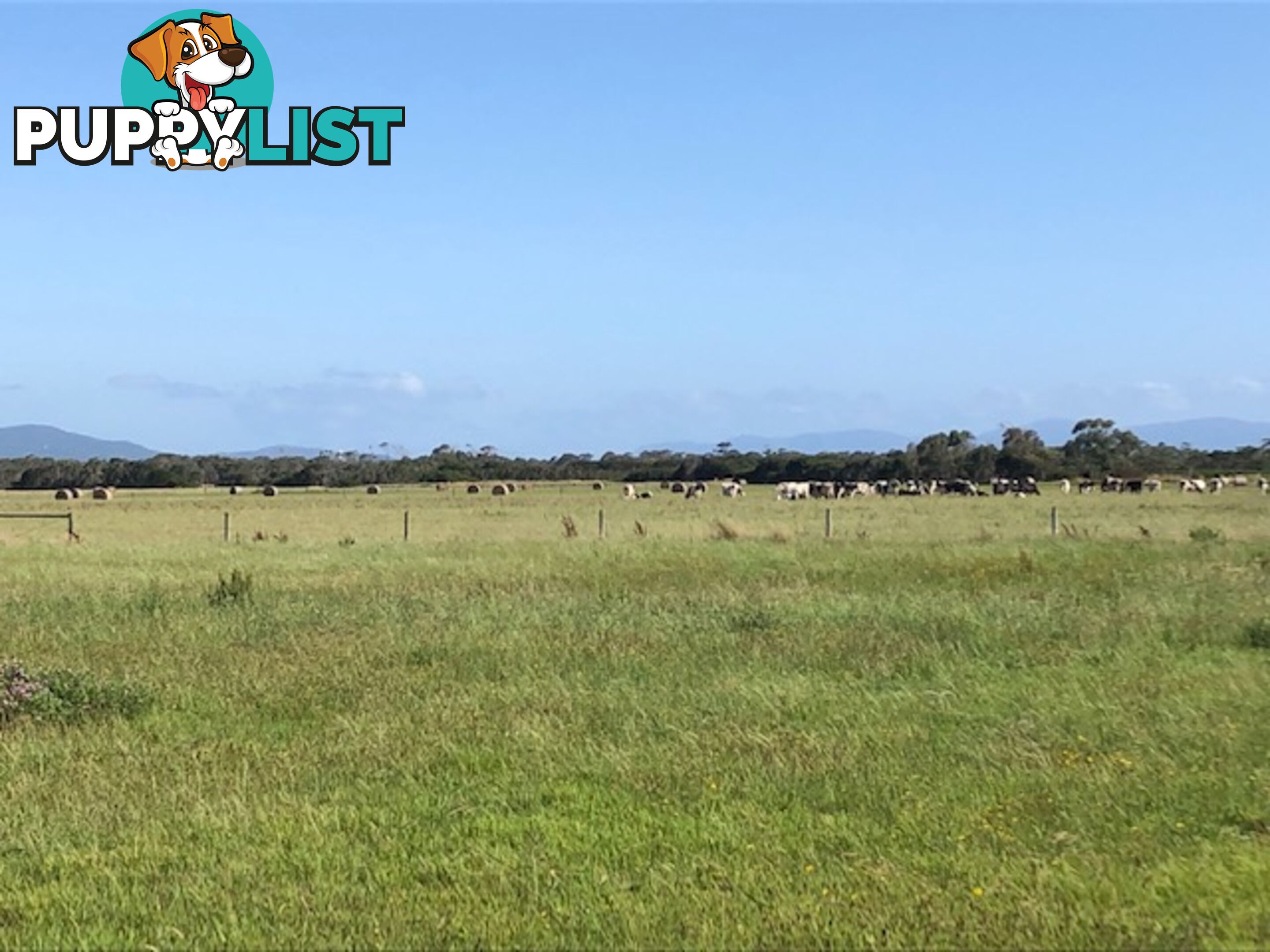 209 Barry Rd AGNES VIC 3962