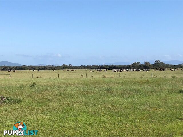 209 Barry Rd AGNES VIC 3962
