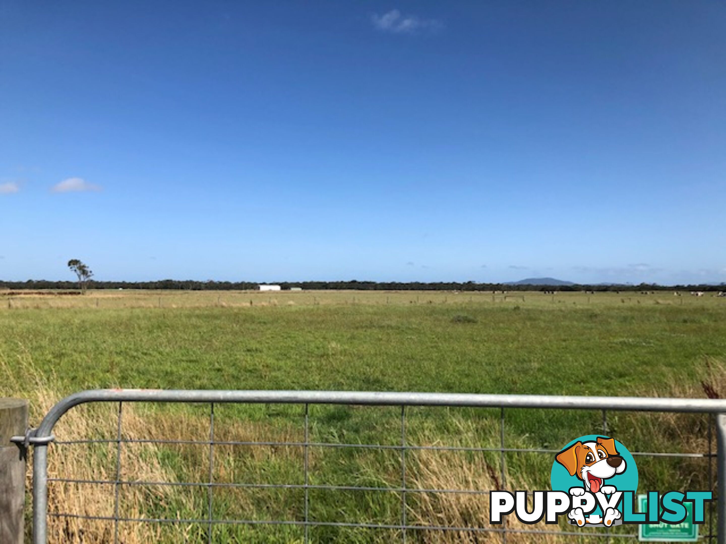 209 Barry Rd AGNES VIC 3962