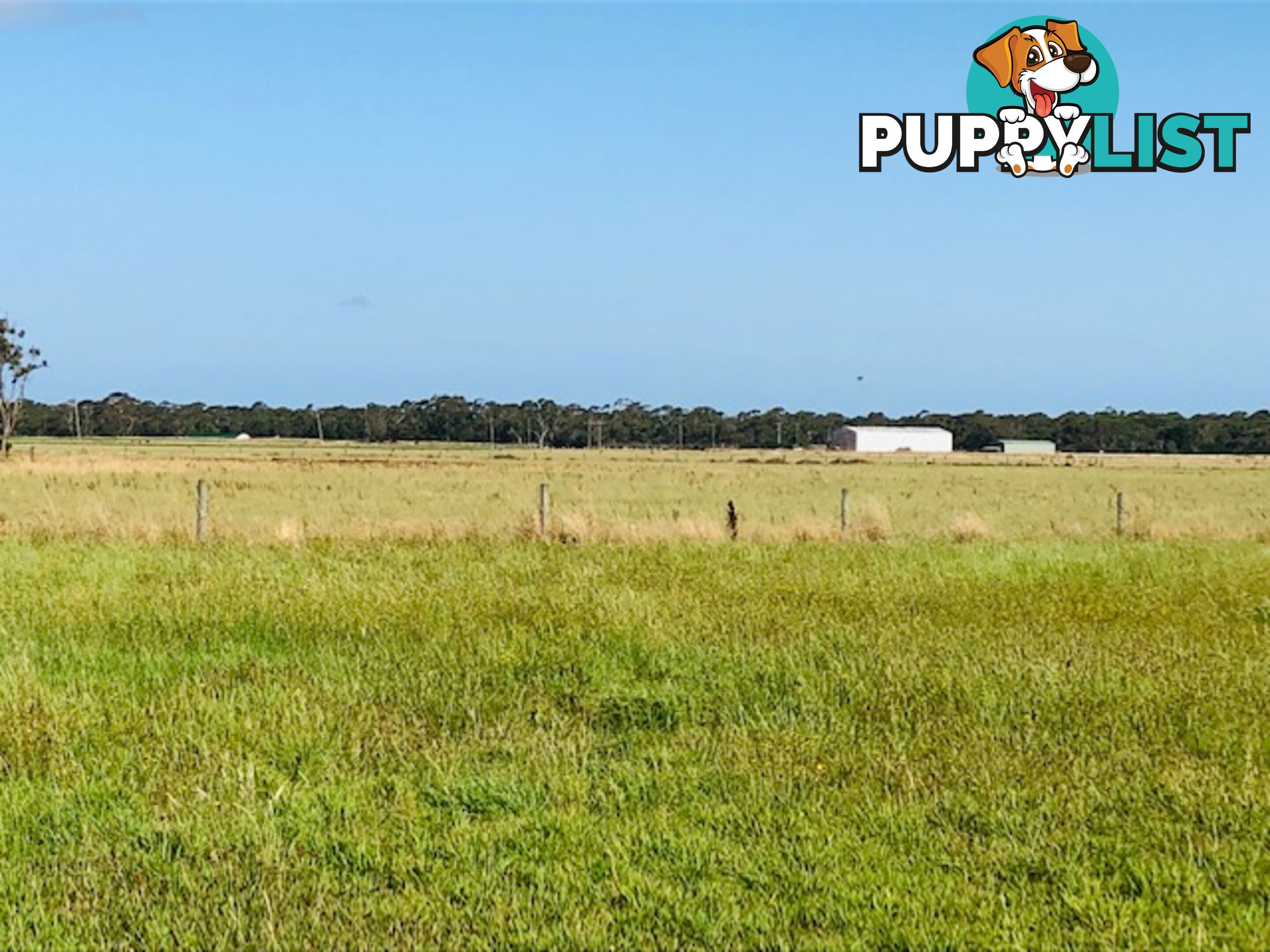209 Barry Rd AGNES VIC 3962